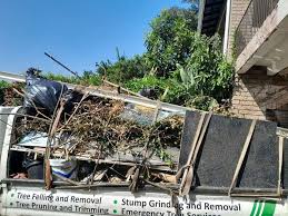 Junk Removal for Events in Lanark, IL